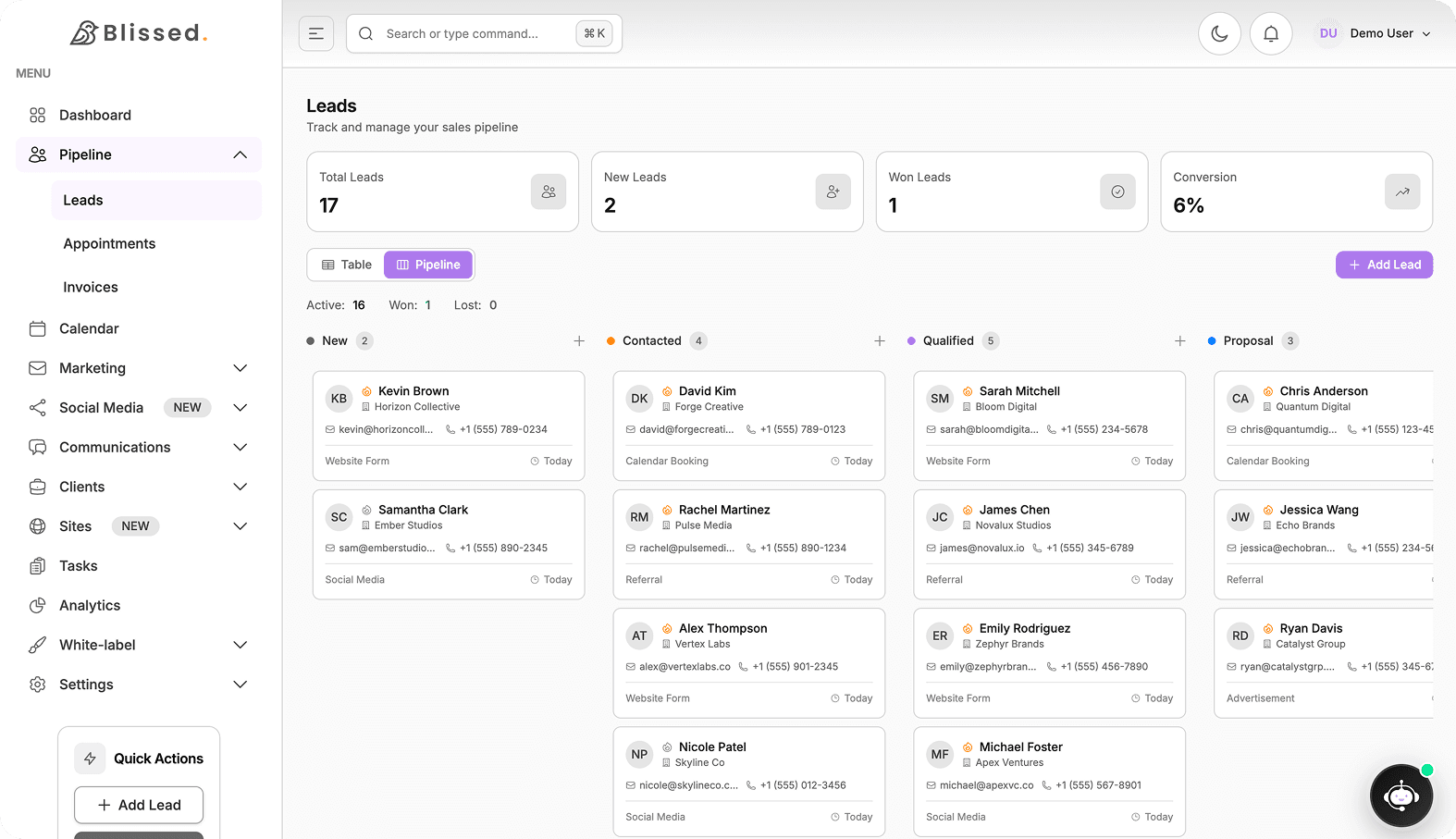 Blissed CRM — leads pipeline view